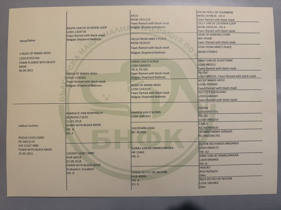 Белгийска овчарка