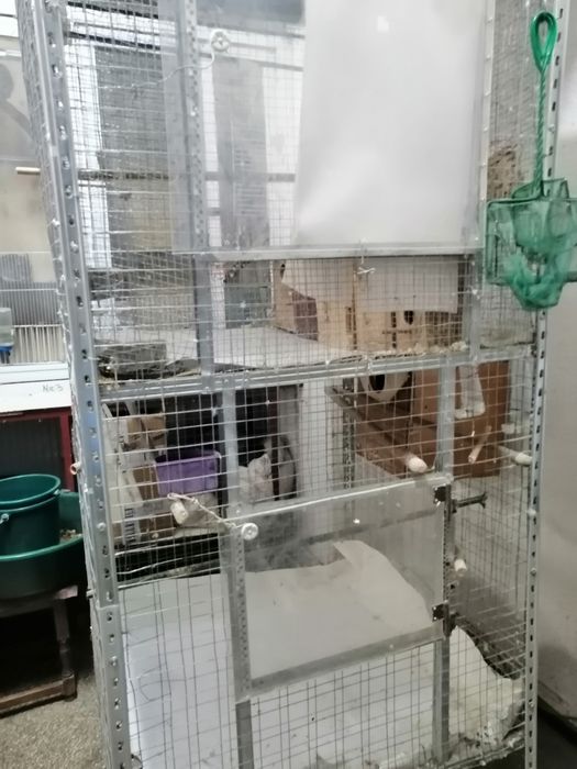 Cusca Voliera Colivie Mare  Dubla  Papagali,