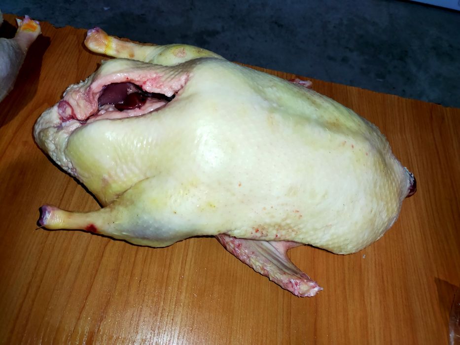 Свежий забой утки