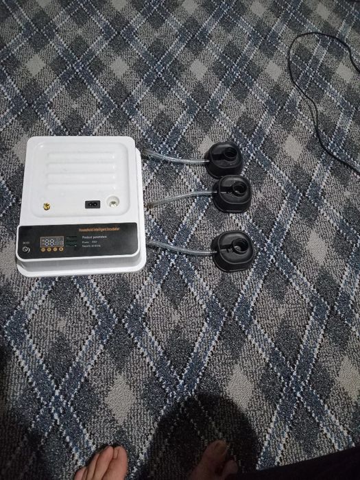 Сотилади инкубатор хизматими бор орзон ва сифатли