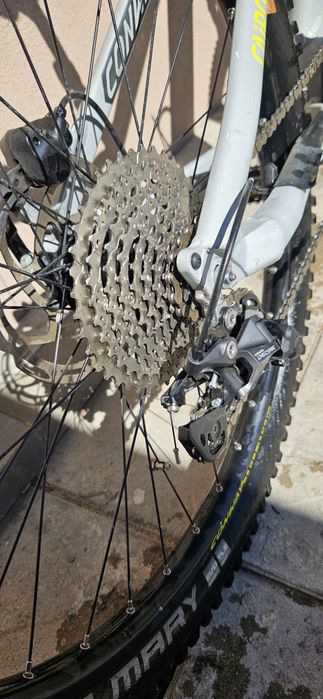 Conway Cairon Bosch Cx gen4
