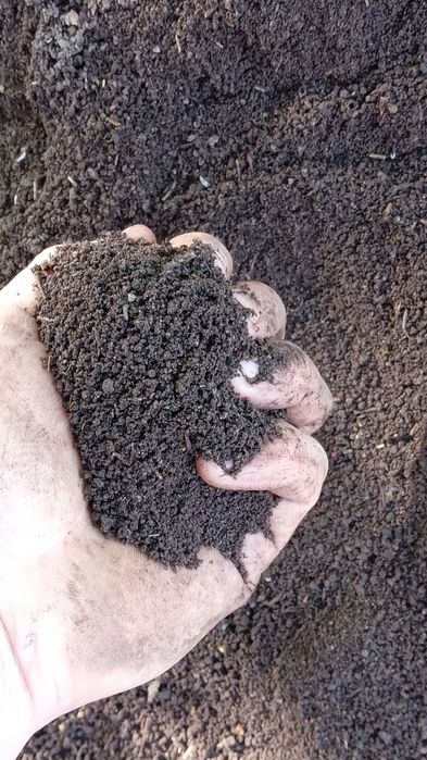 Биогумус                             .