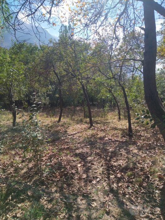 Uchastka sotiladi