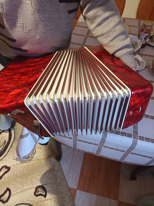 Vând acordeon parrot