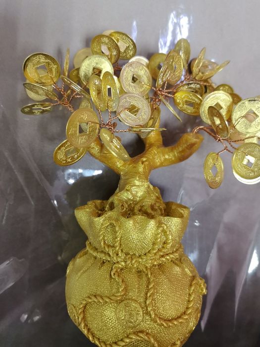 Продам денежное дерево