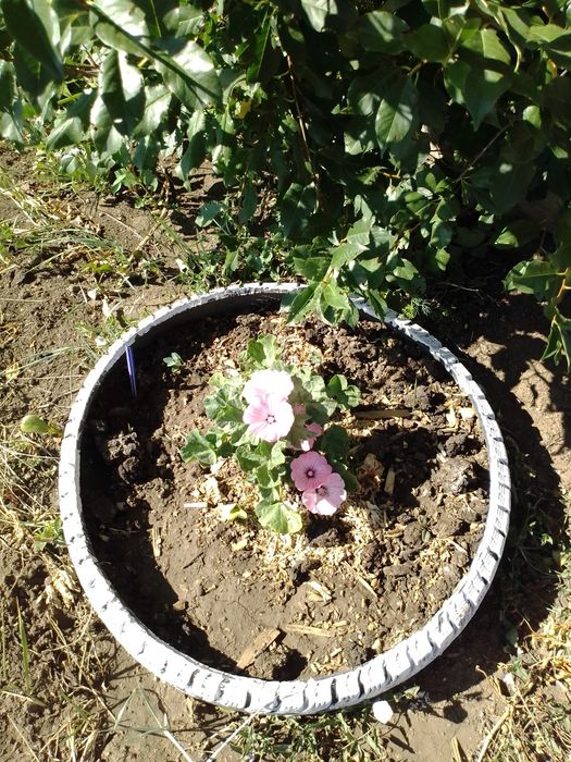 Продается дача "Жемчужина"