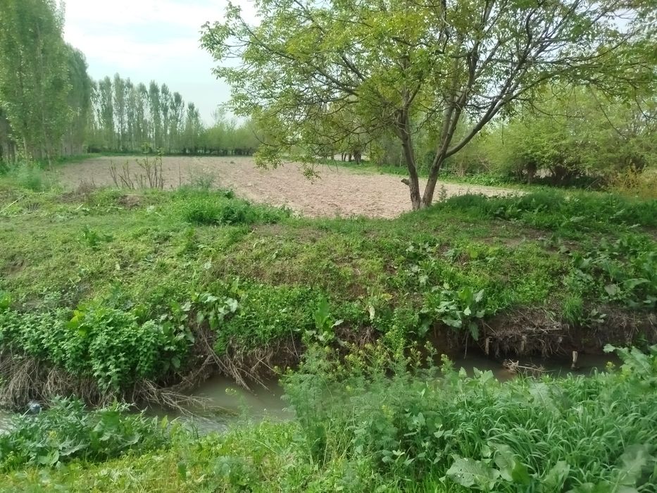 Yer uchastkasi 6 sotixdan  70sotixgacha qib beramiz hujatida muamo yoq