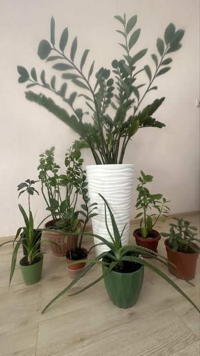 Срочно, все за 20 тыс. тенге