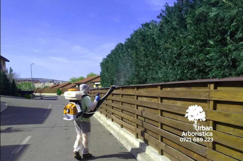 Toaletare Copaci Tăiere Arbori Defrișare Copaci Periculoși Gard Viu
