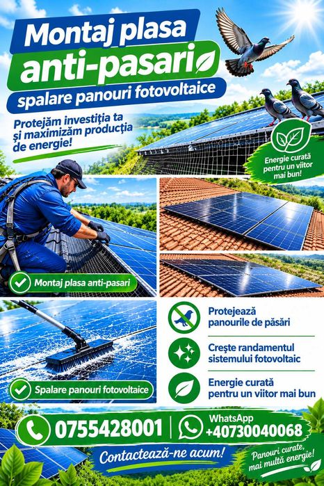 Servicii montare plasa anti-pasari si spalare panouri fotovoltaice