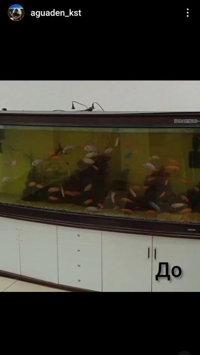 Аквариумные услуги чистка