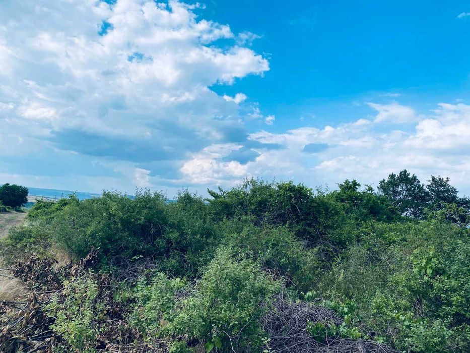 Продава се Земеделски имот в Варна, Възраждане 1 -  кв.м за 30 €/дка - Снимка #4