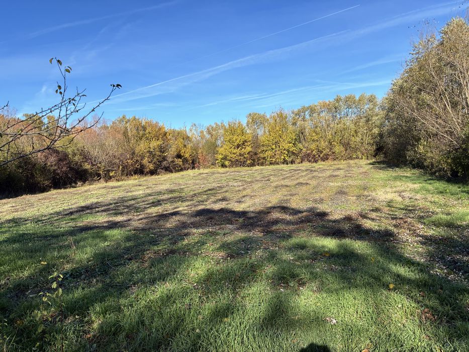 Teren intravilan 2.000 mp – Movila, Niculești, Dâmbovița