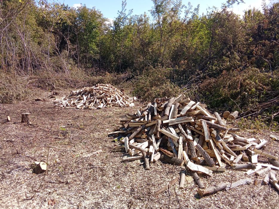 Продам дрова колотые