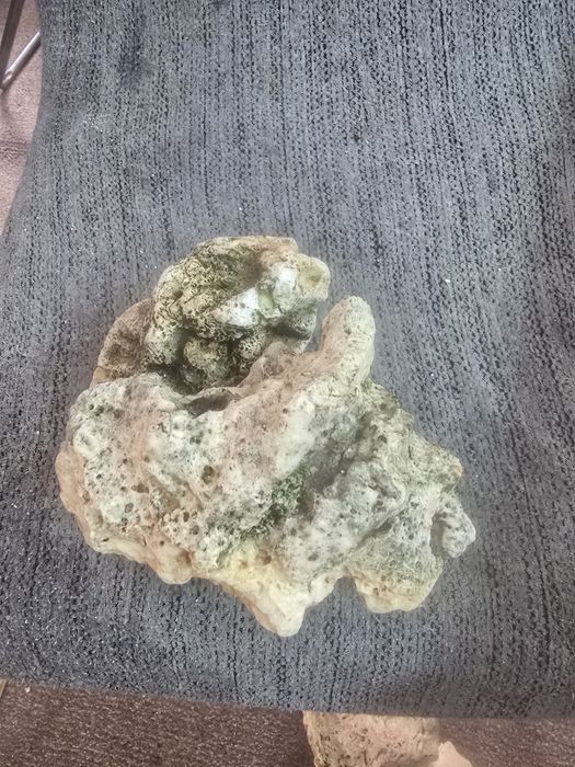 Vând roci pt acvariu