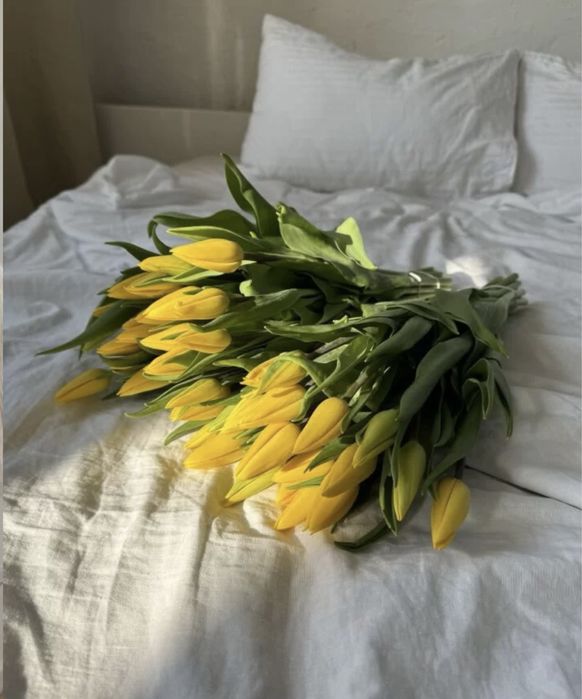 Тюльпаны местные