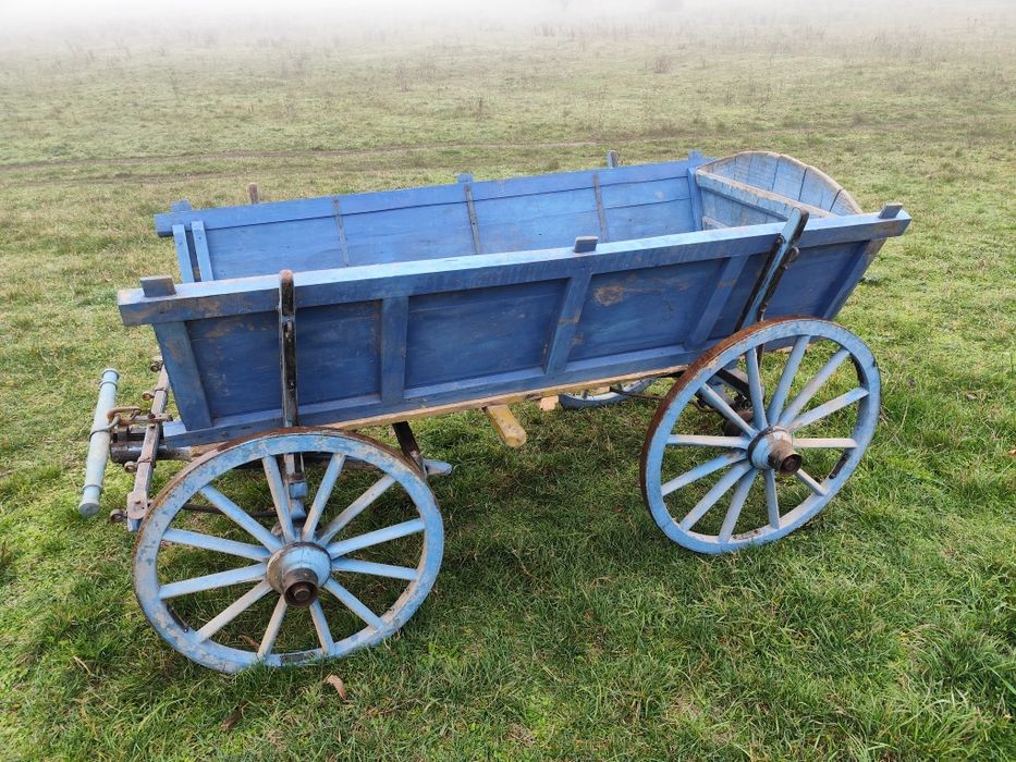 Магарешка каручка