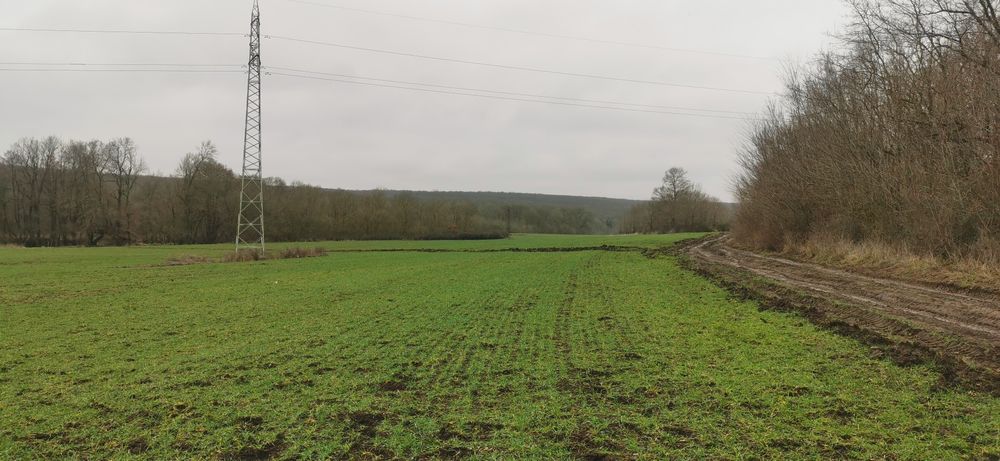 Продава се Земеделски имот в с. Ясна поляна, Област Бургас -  кв.м за 43 €/дка - Снимка #4