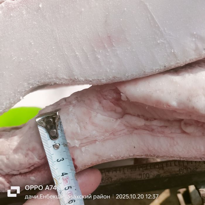 Сало домашнее свежее