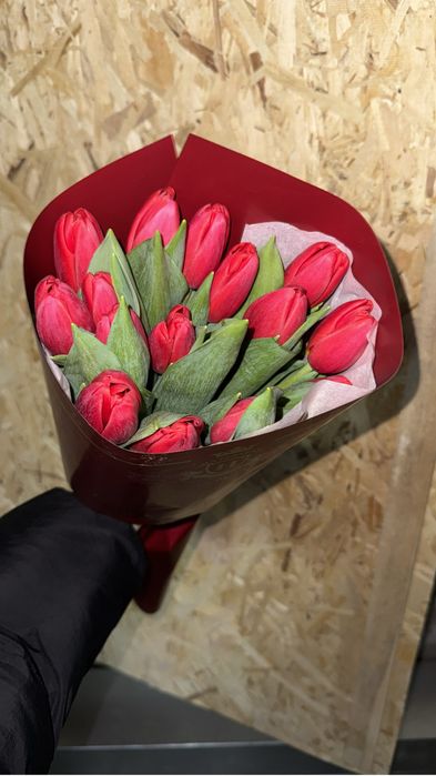 Тюльпаны продам. Красивые, качественные, в розницу