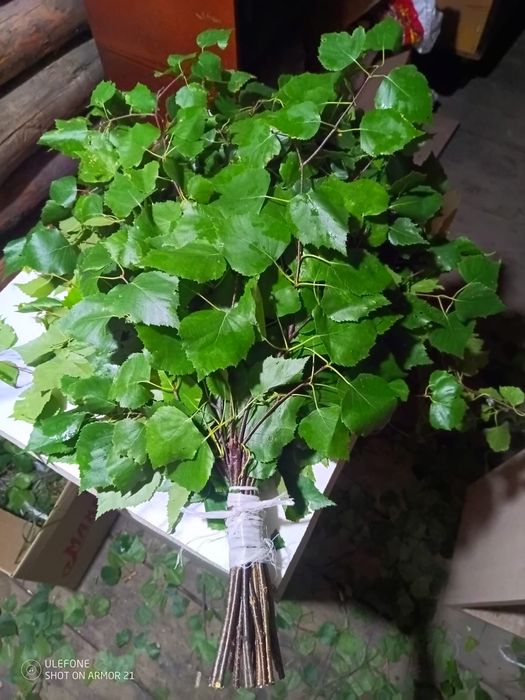 Продам банные веники