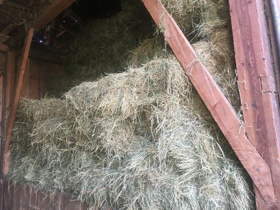 Baloti de fan si otava