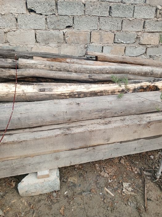 Болол бурус Лар сотилади