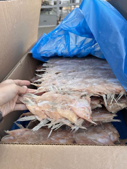 Ушки, плавники судака