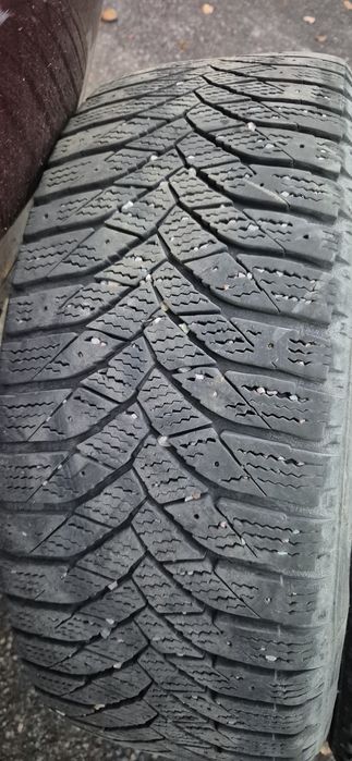 Резина зимняя triangle