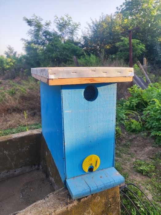 Съндъчета за отводки