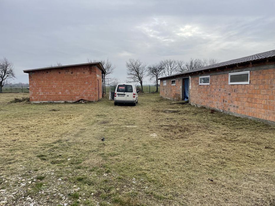 Hala Multifunctionala