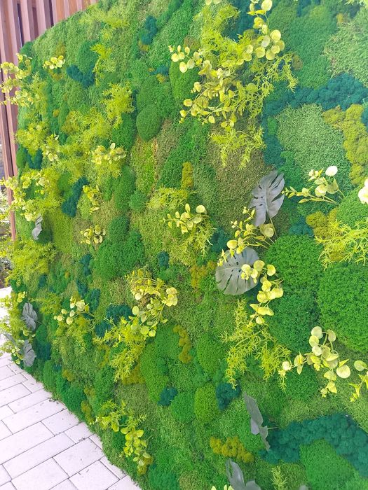 Озеленение стабилизированным мхом