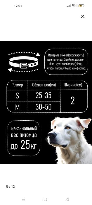 Продам ошейник для собаки