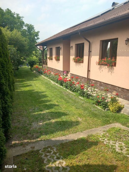 Proprietate cu 2 case, garaj și spațiu comercial, 1260 mp,Sangiorgiu