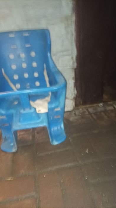 Детское велосидушка на багажник