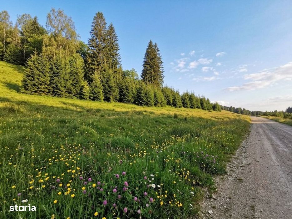 Poiana Brașov, Teren intravilan 2.763 mp , utilitati, Str. Stânii,