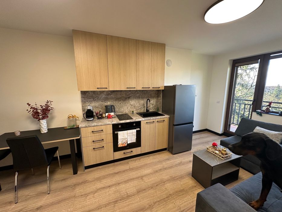 Апартаменти под наем Пампорово