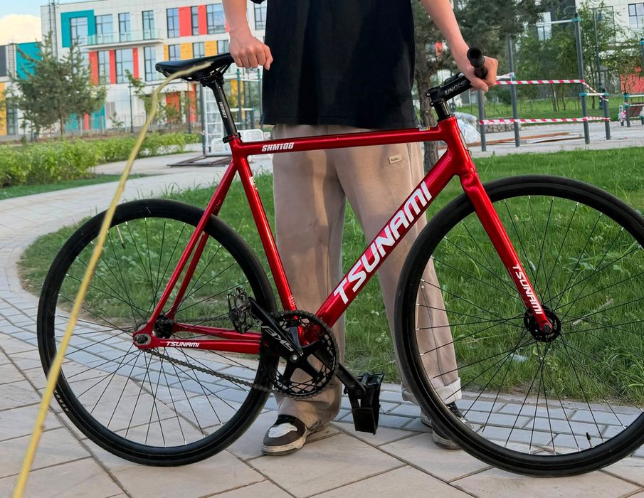 Тсунами снм  100