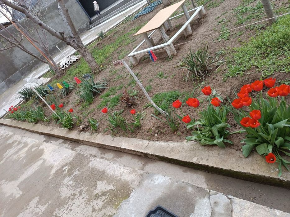 Uchastka sotiladi. Sarka mahalla orentir: g’ishtko’prik