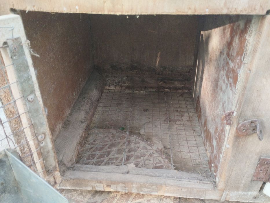 Quyon ini / Клетка для кроликов