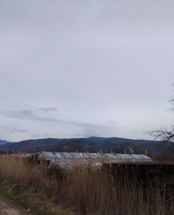 Продава се Парцел в с. Стоб, Област Кюстендил - 4180 кв.м за 6 €/кв.м - Снимка #3