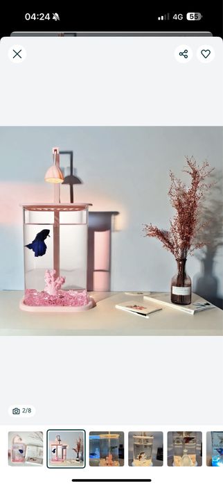 Набор аквариум плюс петушок