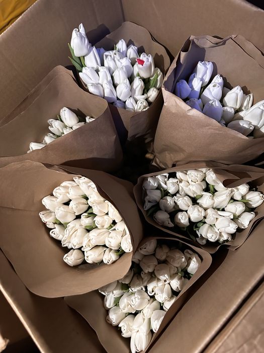 Тюльпаны оптом и в розницу