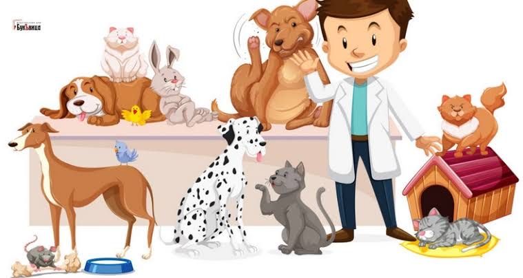 Ветеринар на выезд Хирург