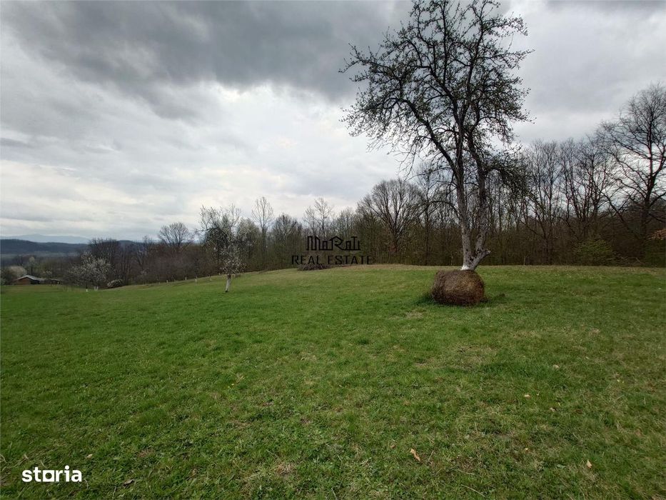 10 000 mp teren intravilan cu priveliste