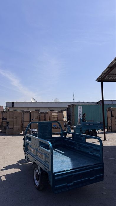 Трицикл муравей электрический