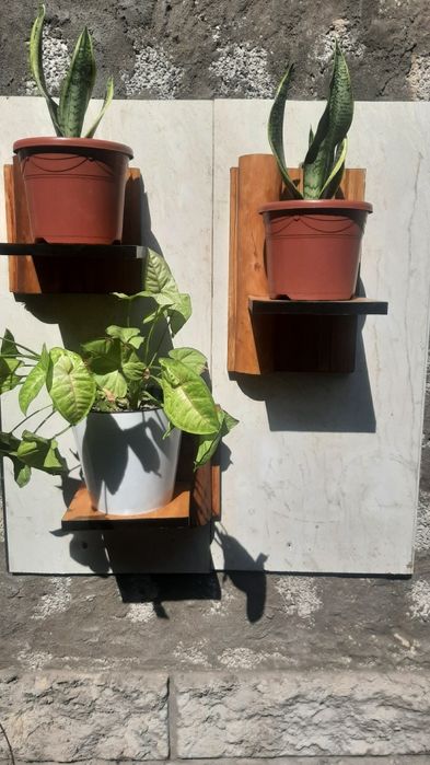 Настенные подставки для цветов из дерева