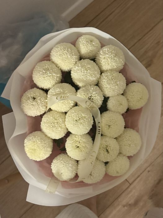 Цветы момоко белые