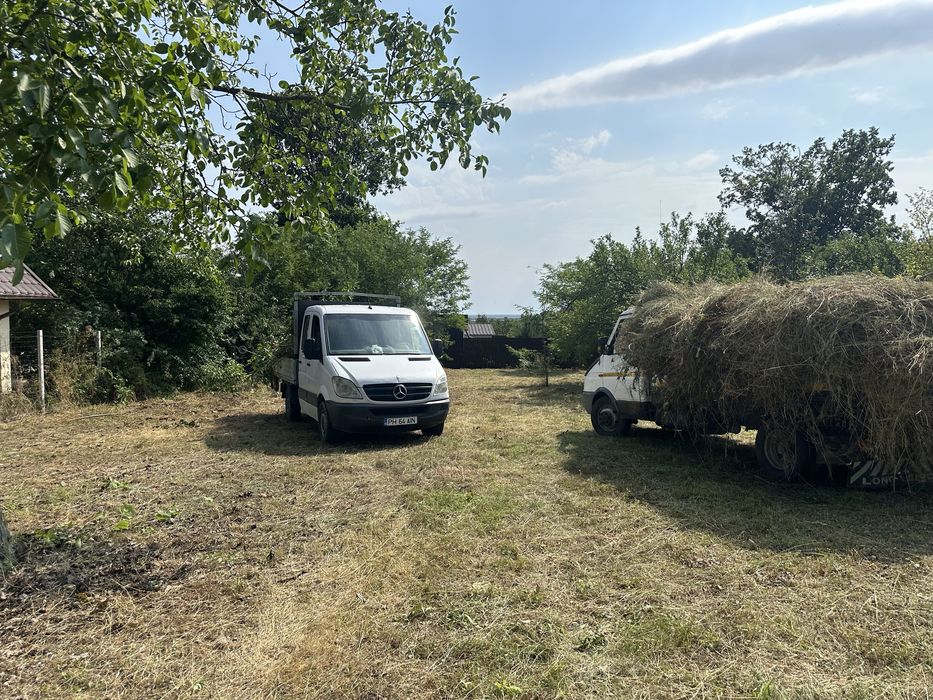 Debarasari Defrisari Demolari Curatenie