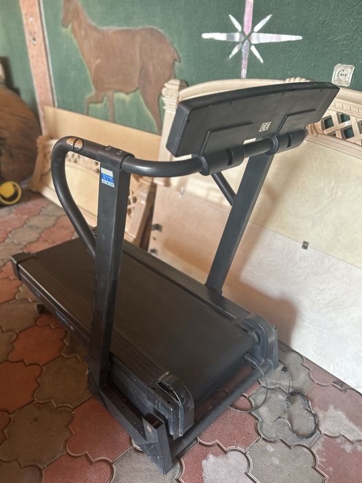 Беговая дорожка японская